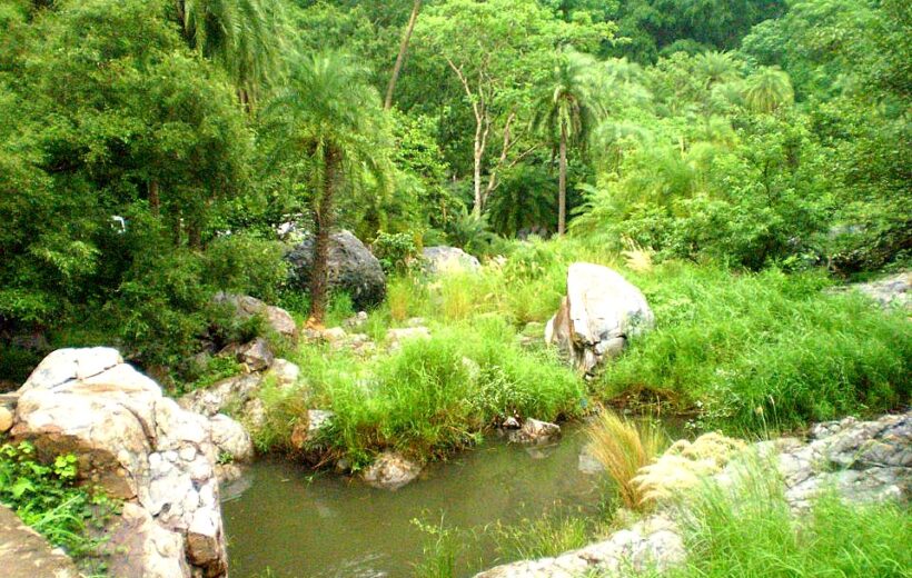 Sariska Tiger Safari – Morning Gypsy