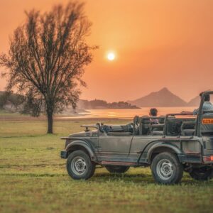 Exclusive Full Day Leopard Safari Tour