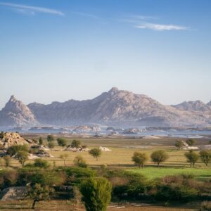 Sunrise Leopard Safari