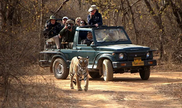 Ranthambore Private Gypsy Safari (Up to 6 Persons)
