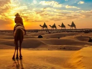 Sunset Desert Safari in Jaisalmer (Best Seller Experience)