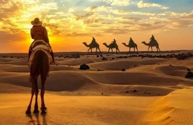 Sunset Desert Safari in Jaisalmer (Best Seller Experience)